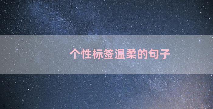 个性标签温柔的句子