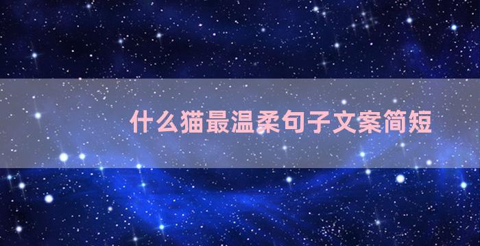 什么猫最温柔句子文案简短