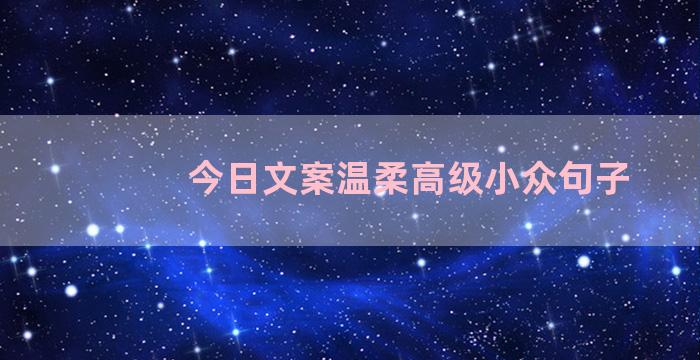 今日文案温柔高级小众句子