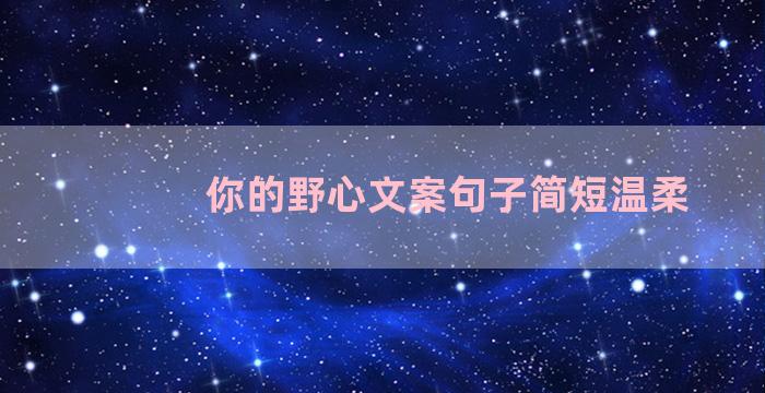 你的野心文案句子简短温柔