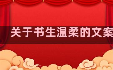 关于书生温柔的文案句子