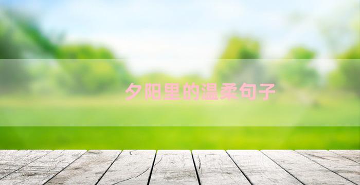 夕阳里的温柔句子