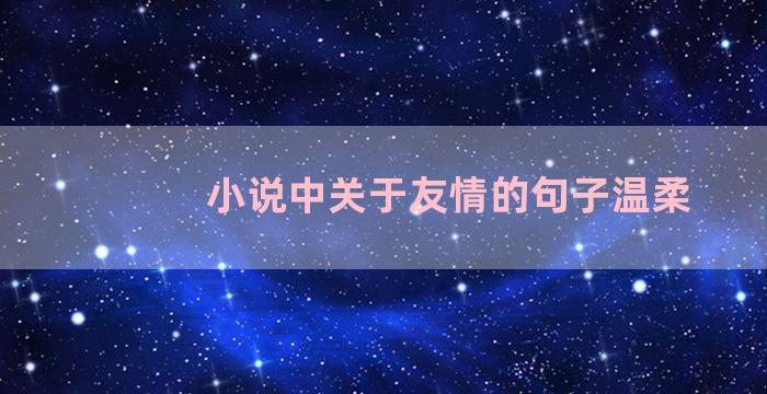 小说中关于友情的句子温柔