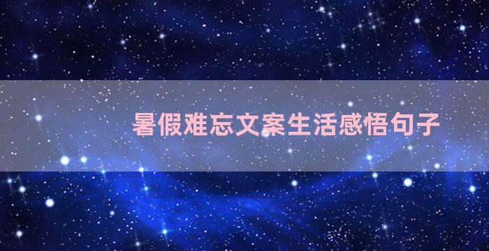 暑假难忘文案生活感悟句子