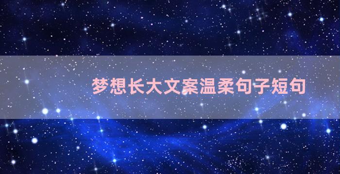 梦想长大文案温柔句子短句