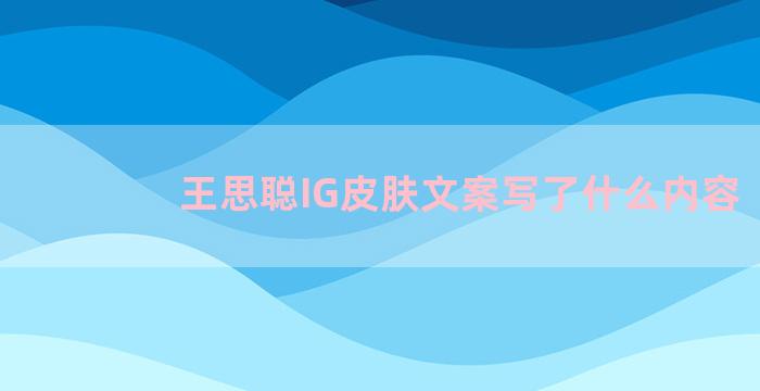 王思聪IG皮肤文案写了什么内容